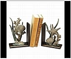 Coastal Shell Bookends