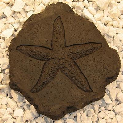 Starfish Fossil Stepping Stone