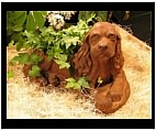 Spaniel Garden Planter