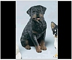 Sitting Rottweiler Figurine