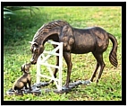 A Horse Meets a Dog Friend Sculpture