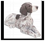 German Shorthaired Pointer