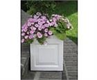 English Box Planter I