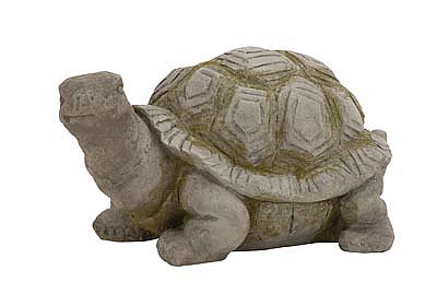 Curious Turtle Statue