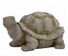 Curious Turtle Statue